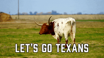 Houston Texans Football GIF by Sealed With A GIF